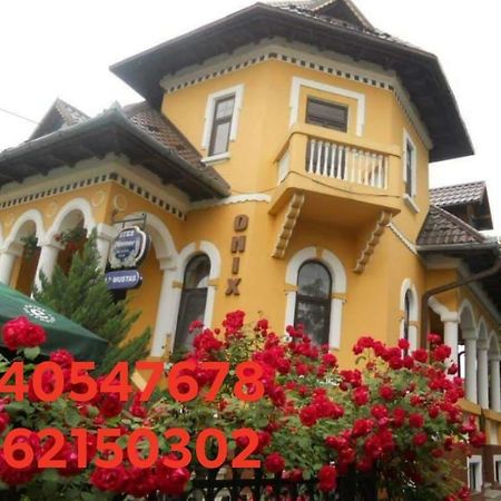 Pensiunea Onix Făgăraş Exterior foto