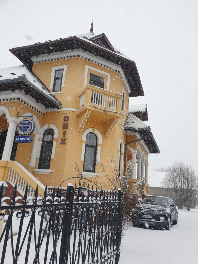 Pensiunea Onix Făgăraş Exterior foto