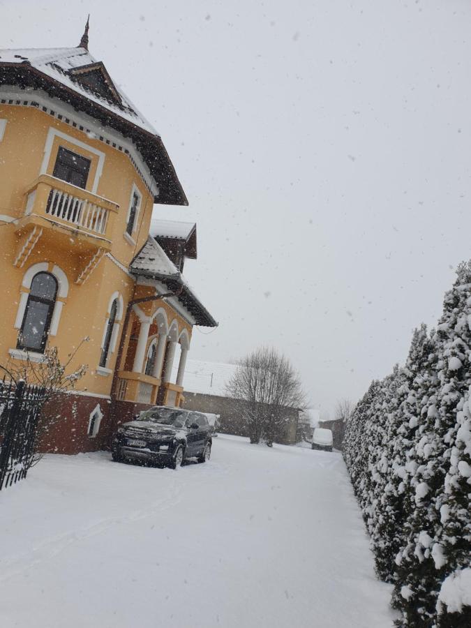 Pensiunea Onix Făgăraş Exterior foto