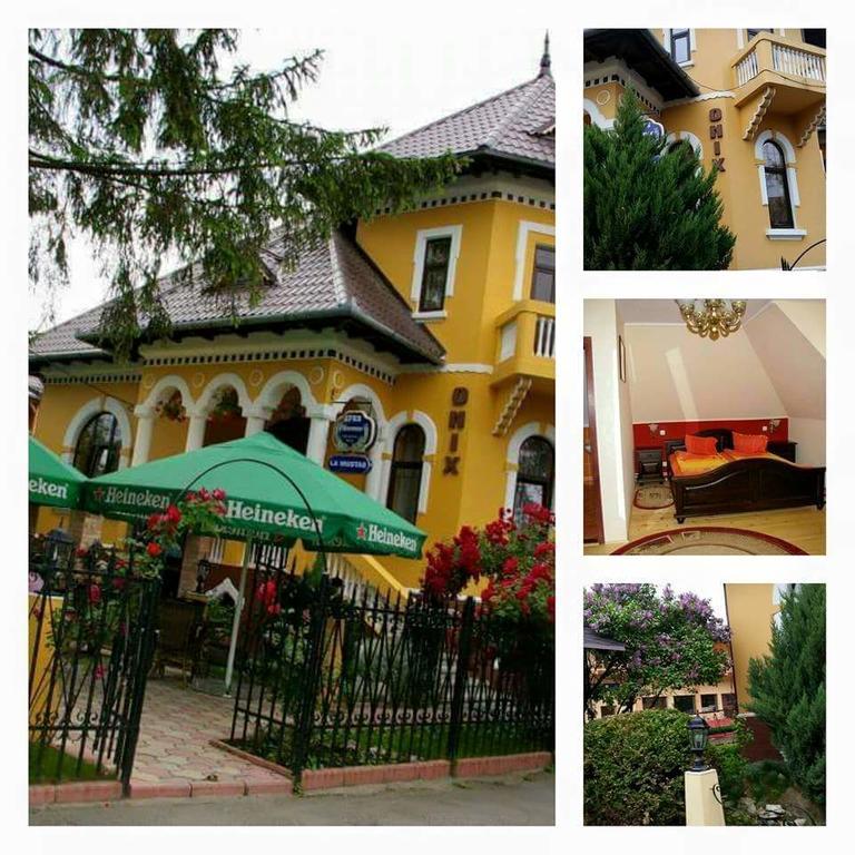 Pensiunea Onix Făgăraş Exterior foto