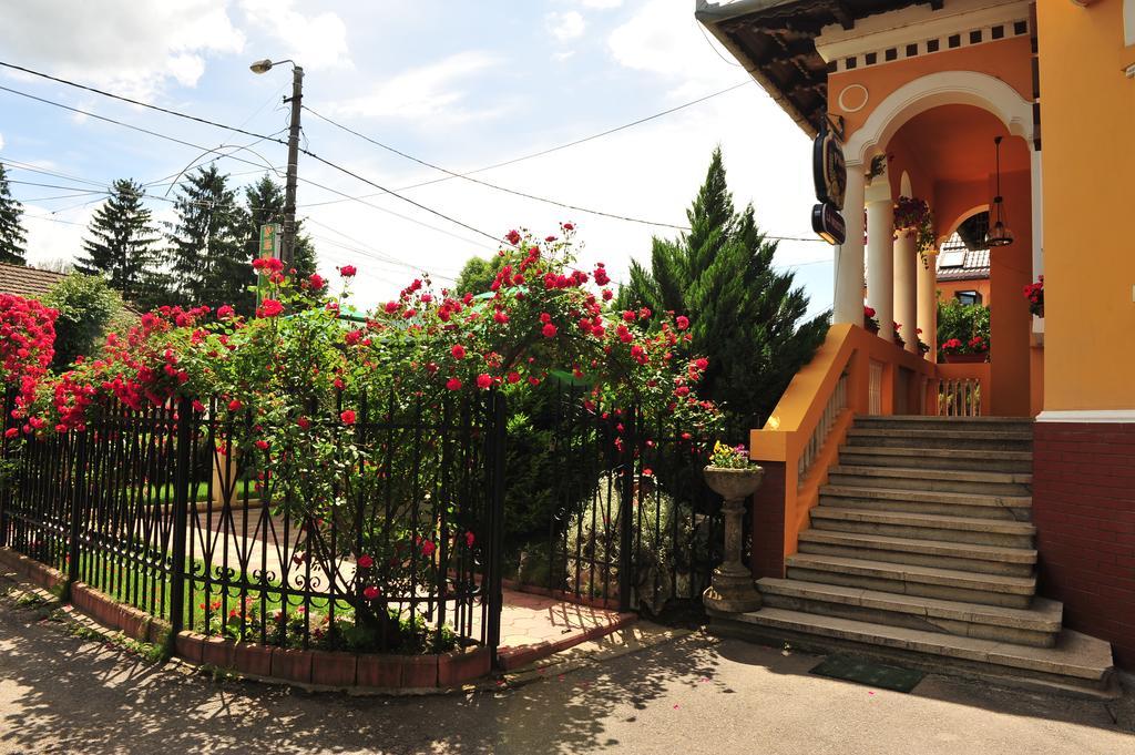 Pensiunea Onix Făgăraş Exterior foto