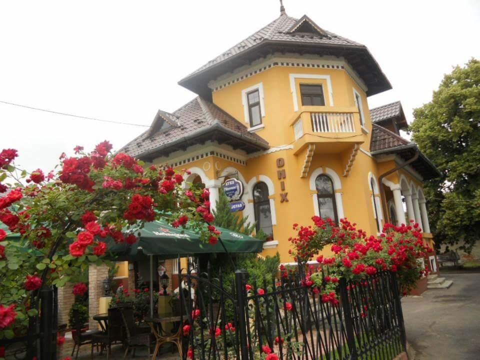 Pensiunea Onix Făgăraş Exterior foto
