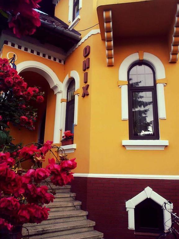 Pensiunea Onix Făgăraş Exterior foto