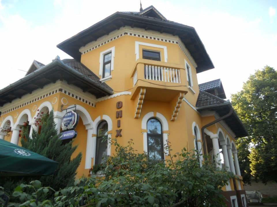 Pensiunea Onix Făgăraş Exterior foto