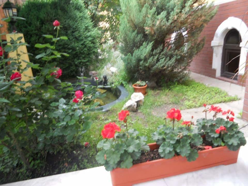 Pensiunea Onix Făgăraş Exterior foto