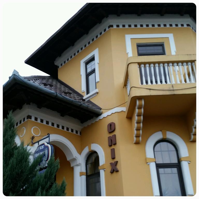 Pensiunea Onix Făgăraş Exterior foto