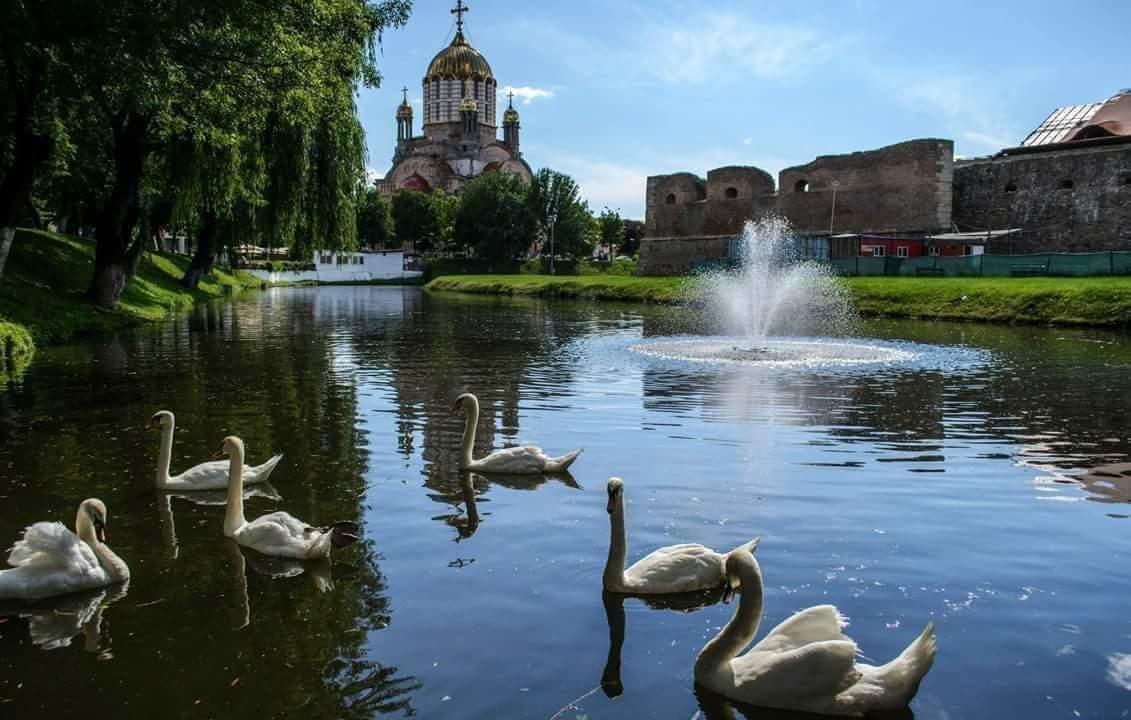 Pensiunea Onix Făgăraş Exterior foto