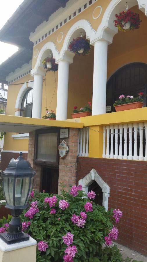 Pensiunea Onix Făgăraş Exterior foto