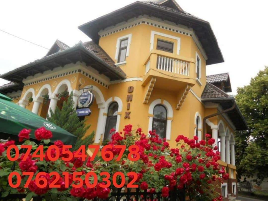 Pensiunea Onix Făgăraş Exterior foto