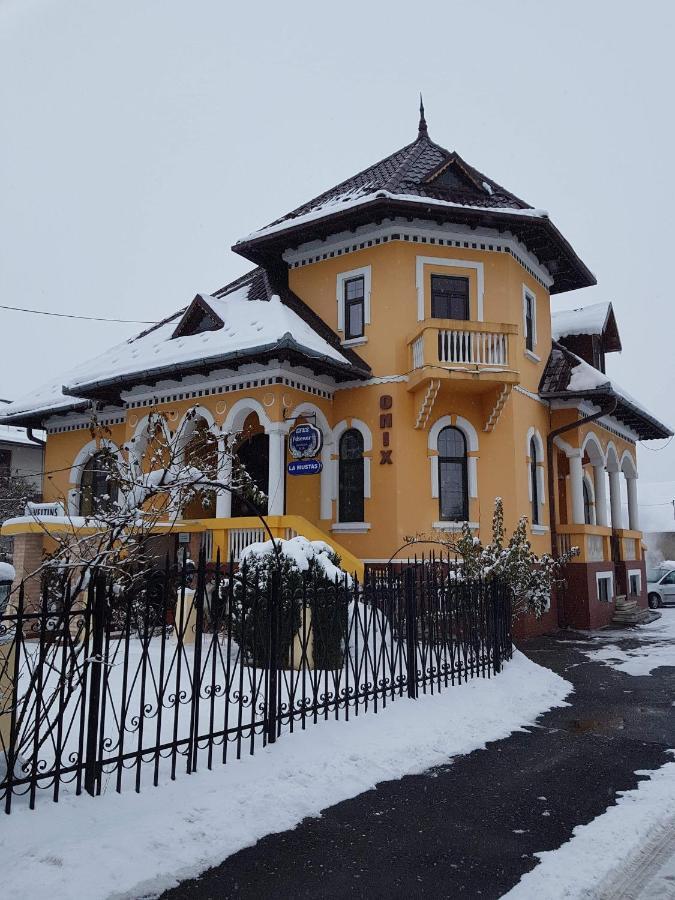 Pensiunea Onix Făgăraş Exterior foto